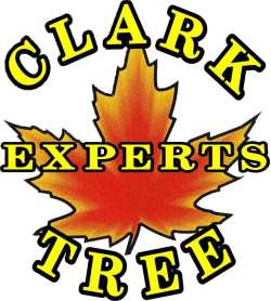 Clark Tree Experts