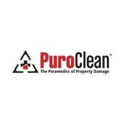 PuroClean Water/Mold/Fire Damage Experts