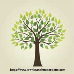 Town Branch Tree Experts, Inc.