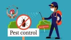 American Pest Control Company