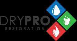 Water Damage & Mold by Drypro
