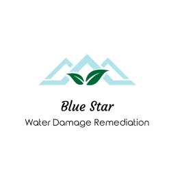 Blue Star Water Damage Remediation and Mold Removal