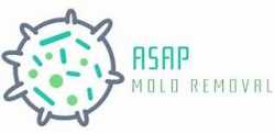 Asap Mold Removal