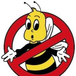Bee Busters - Orange County Bee Removal Service