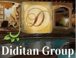 Diditan Group Inc