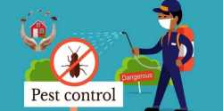 AZ SHIELD Pest Control
