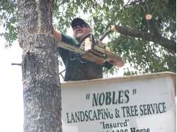 Nobles Landscaping & Tree Service