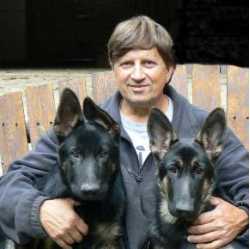 Loyal German Shepherds