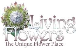 Living Flowers Inc