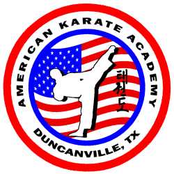American Karate Academy of Duncanville