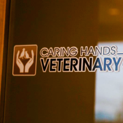 Caring Hands Veterinary Clinic