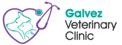 Galvez Veterinary Clinic