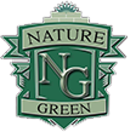 Nature Green Brick Paving