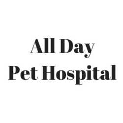 All Day Pet Hospital