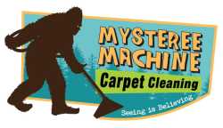 Mysteree Machine Carpet Cleaning