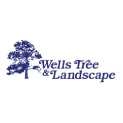 Wells Tree and Landscape