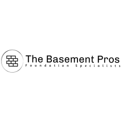 The Basement Pros