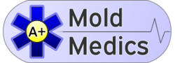 A+ Mold Medics