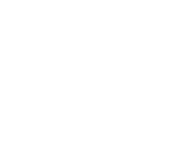 Custom Theater Solutions LLC