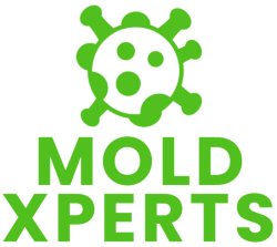 Mold Xperts
