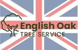 English Oak Tree Service