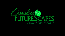 Carolina Futurescapes