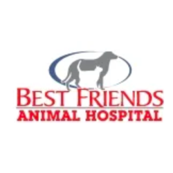Best Friends Animal Hospital