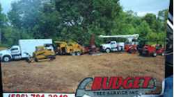 Budget Tree Service, Inc.