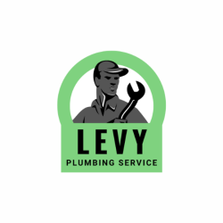 Levy & Son Service Experts