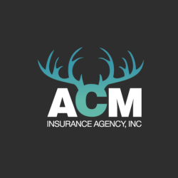 ACM Insurance Agency, Inc.