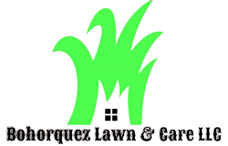 Bohorquez Lawn & Care