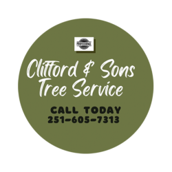 Clifford & Sons Tree Service