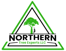 Northern Tree Experts LLC