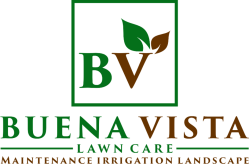 Buena Vista Lawn Care