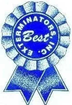 Best Exterminators
