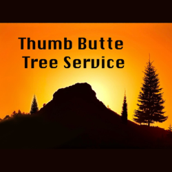 Thumb Butte Tree Service