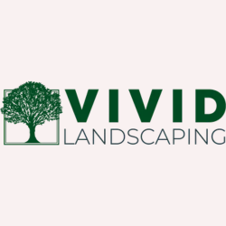 Vivid Landscaping