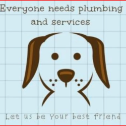Everyone Needs Plumbing and Service
