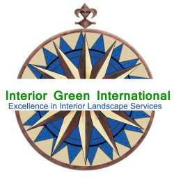 Interior Green International