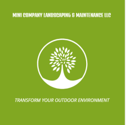 Mini Company Landscaping & Maintenance LLC