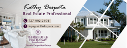 Kathy Despota - Berkshire Hathaway HomeServices Florida Properties Group