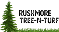Rushmore Tree N Turf Lawn & Landscaping