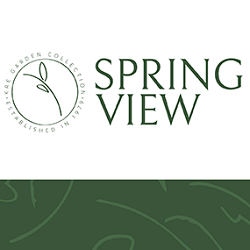 Spring View Apartments