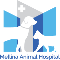Mellina Animal Hospital