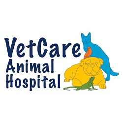 VetCare Animal Hospital