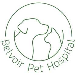 Belvoir Pet Hospital