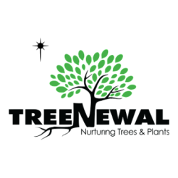 TreeNewal, Certified Arborist