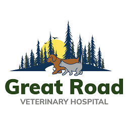 Great Road Veterinary Hospital