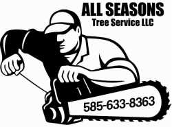 All Seasons Tree Services New York