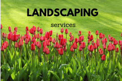 Angel's Landscaping & Painting